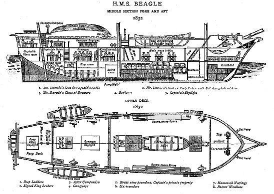 H.M.S. <i>Beagle</i> Middle section, fore and aft, and upper deck, 1832