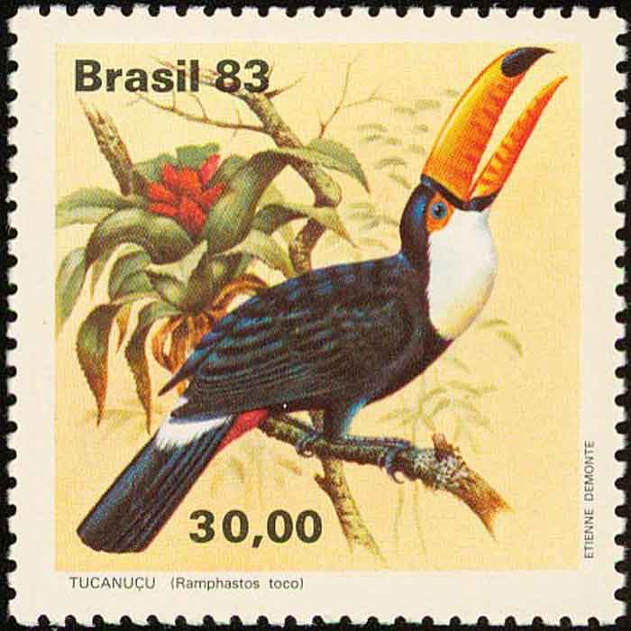  Ramphastos toco 