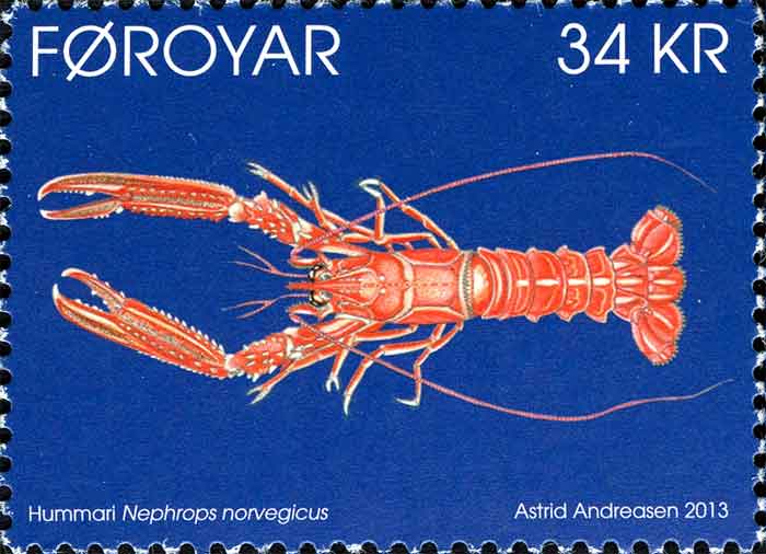 Nephrops norvegicus  