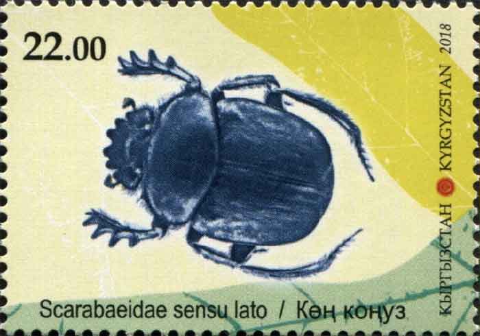   Scarabaeidae  