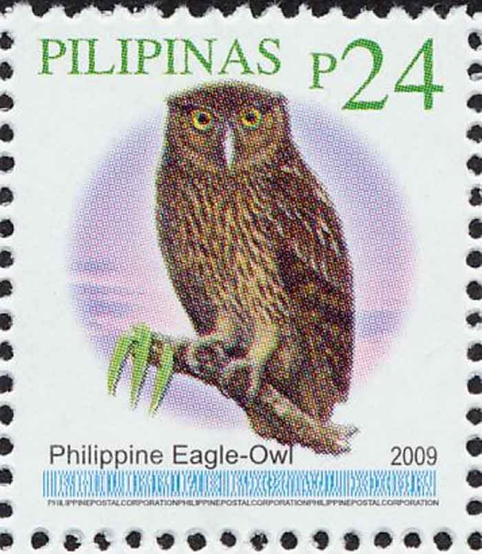 Bubo philippensis  