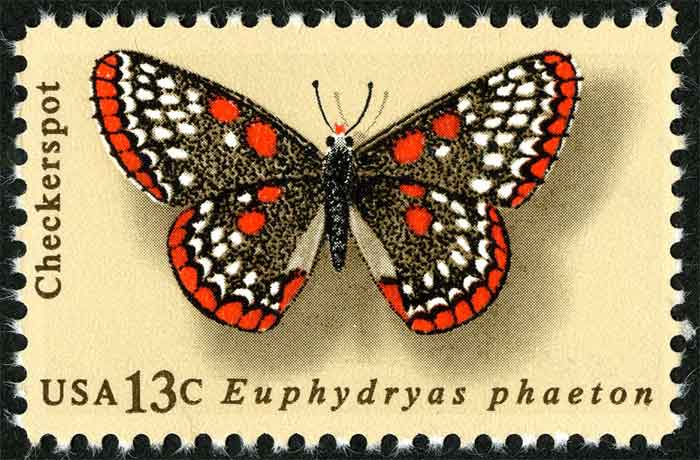 Euphydryas phaeton    